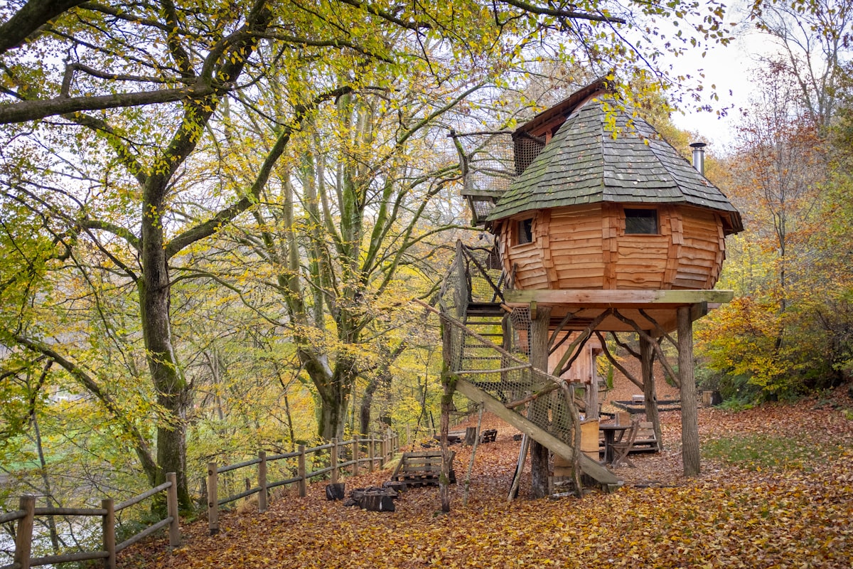 Glamping Pods vs Safari Tents vs Shepherd Huts