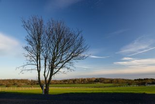 Hauxley Tourers