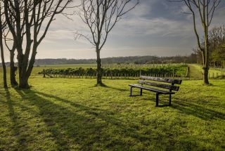 Hauxley Tourers
