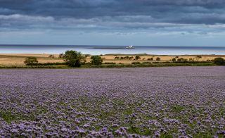 Hauxley Tourers