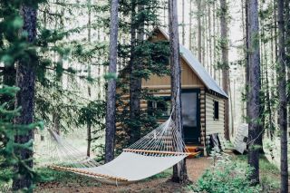 Bell tent at Woodland Glamping Retreat