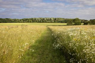 Hauxley Tourers