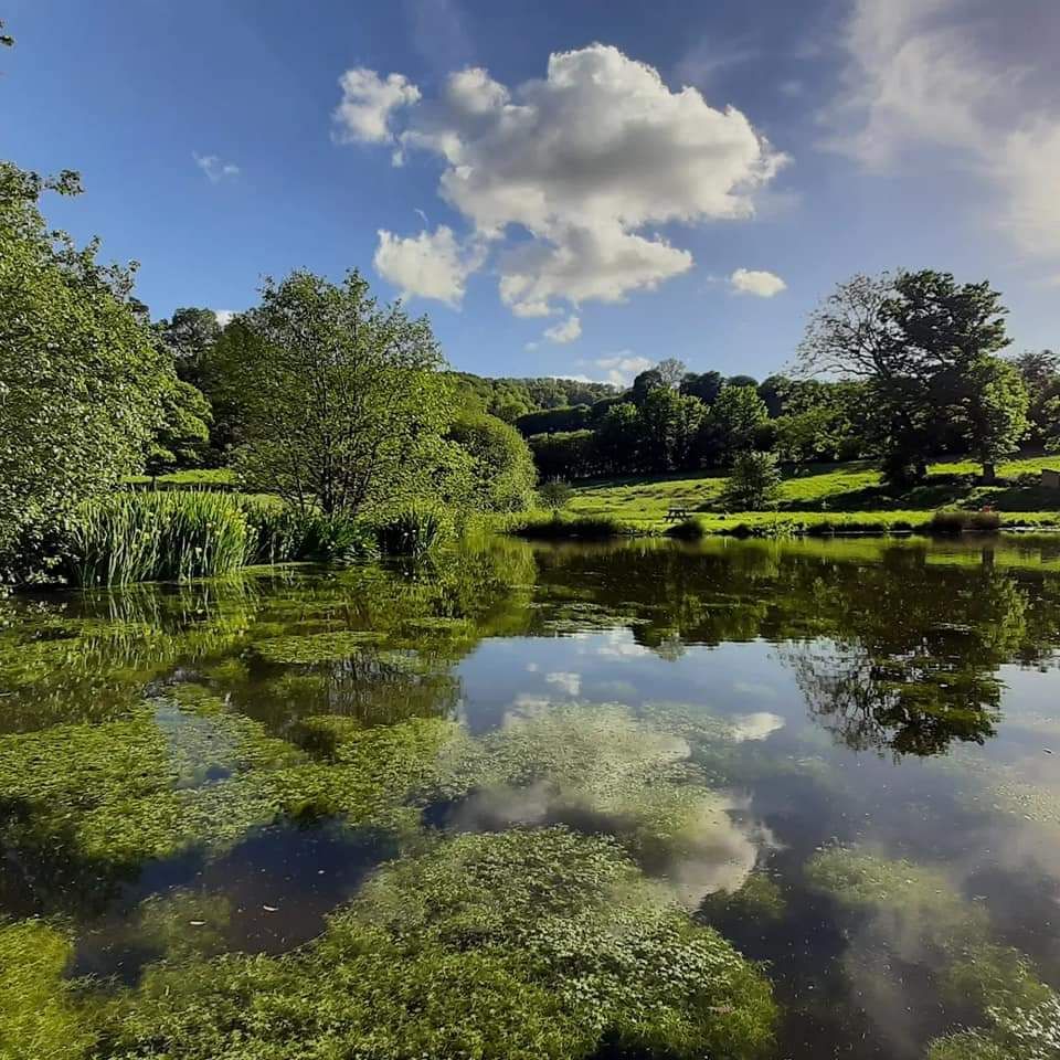 Woodfrys Farm